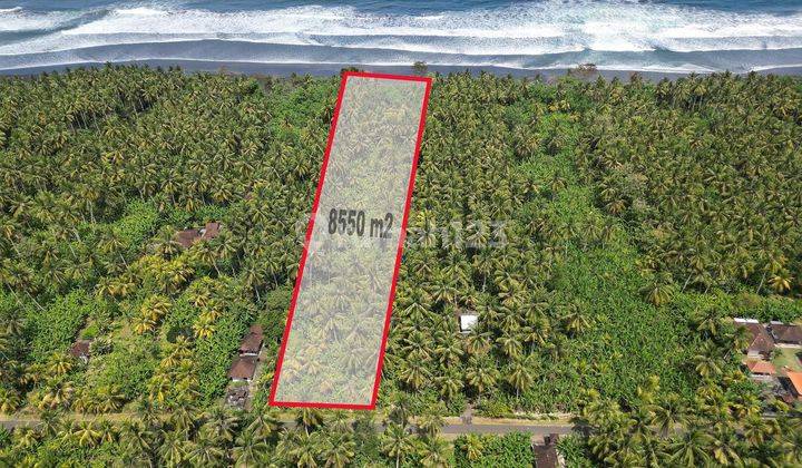 Beachfront land, near the toll road project, Pekutatan Jembrana area 1