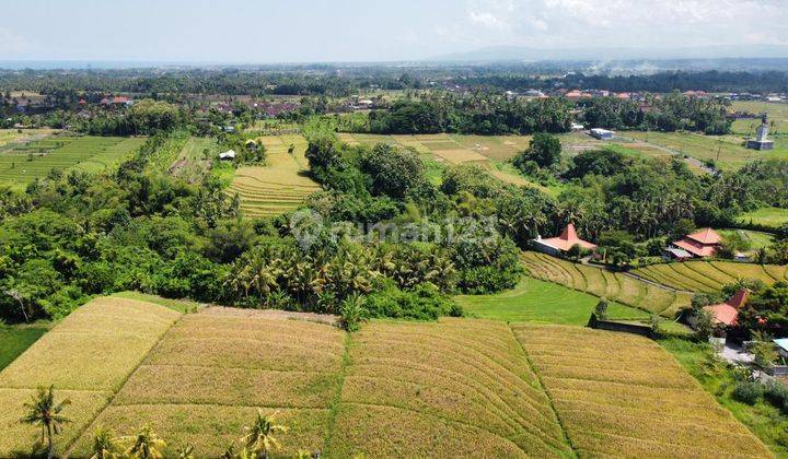 Tanah View Sungai & Sawah, Kawasan Cluster, Yeh Gangga Tabanan 2