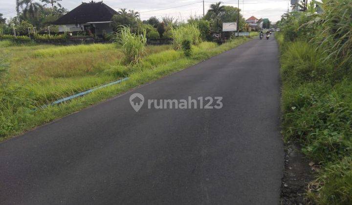 Tanah Istimewa View Sawah, Cocok utk Vila Complex, Nyanyi Tabanan 1