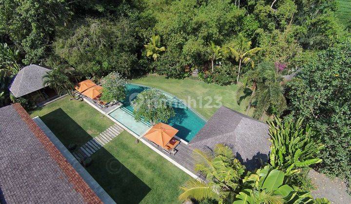 Beautiful Villa with Spacious Garden, View of Rice Fields & River, Pererenan 2