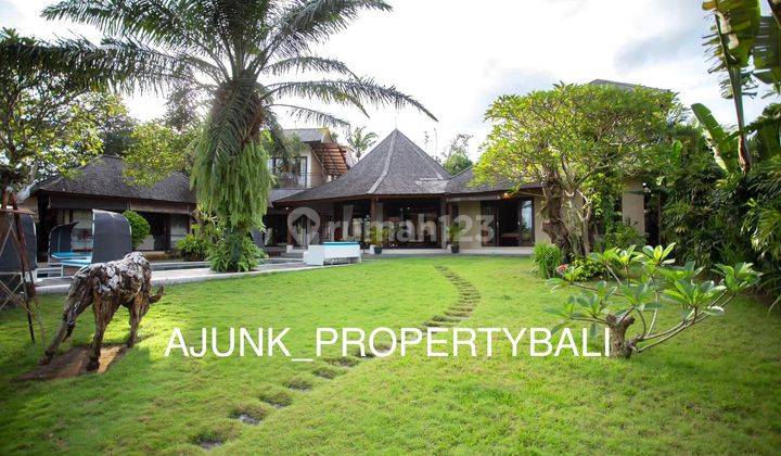 Vila Luxury Sisi Pantai Loss Sungai, Dgn View Sawah, Pererenan 2