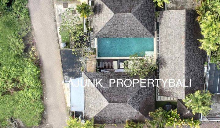 Beautiful Luxury Villa, Just Walk to Berawa Beach, Canggu 2