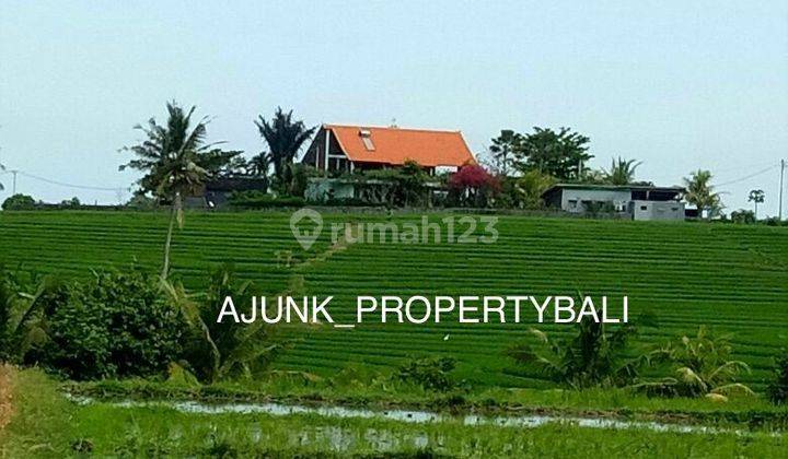 Tanah Lingkungan Private Vila View Sawah, 3 Km Ke Pantai Klecung 1