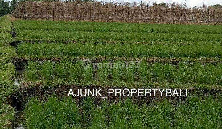 Tanah Lingkungan Private Vila View Sawah, 3 Km Ke Pantai Klecung 2