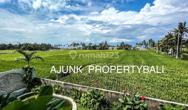 Vila Sewa / Leasehold Sampai Nov 2036, View Laut & Sawah, Kedungu 4