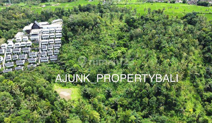 Tanah View Sawah&Jungle, Nmpel dgn Anantara Ubud Resort, Payangan 10