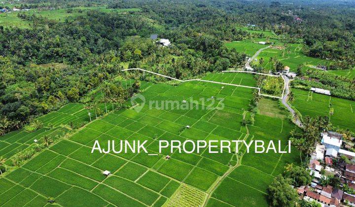 Tanah View Sawah&Jungle, Nmpel dgn Anantara Ubud Resort, Payangan 9