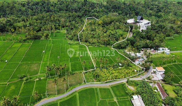 Tanah View Sawah&Jungle, Nmpel dgn Anantara Ubud Resort, Payangan 11