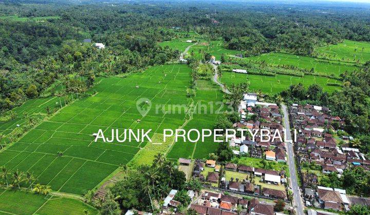 Tanah View Sawah&Jungle, Nmpel dgn Anantara Ubud Resort, Payangan 15