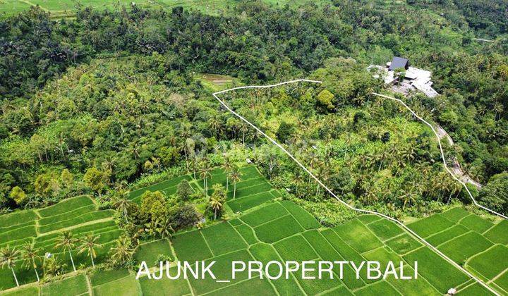 Tanah View Sawah&Jungle, Nmpel dgn Anantara Ubud Resort, Payangan 16