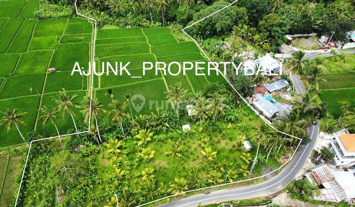 Tanah View Sawah&Jungle, Nmpel dgn Anantara Ubud Resort, Payangan 17