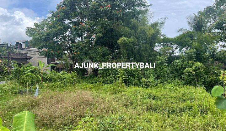 Strategic Land Suitable for Restaurant/Villa Jln. Main Tirta Tawar, Ubud 2