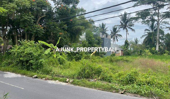 Strategic Land Suitable for Restaurant/Villa Jln. Main Tirta Tawar, Ubud 1