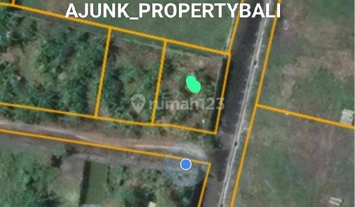 Tanah Langka Plot Kecil Area Premium, Petitenget - Seminyak 2