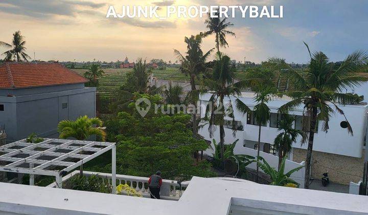 Vila Luxury For LEASHOLD ( minimal 2 thn ), Canggu-Pererenan 4
