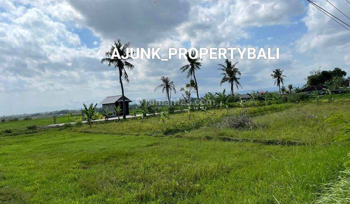 Land Strategic Area Jln Utama Pantai Kelating, Tabanan 1