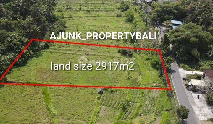 Tanah Leasehold 25 Thn Full View Jungle, Cocok Untuk Resto, Ubud 2
