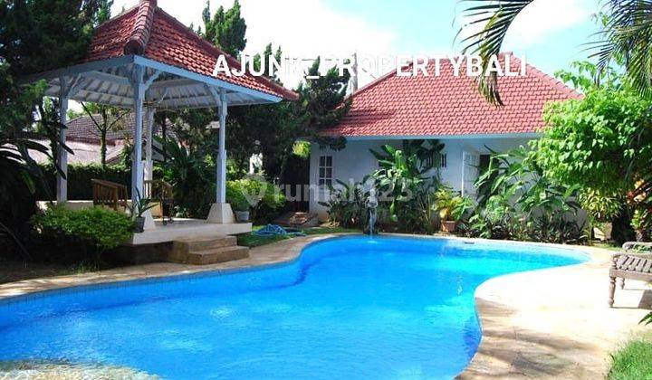 Vila Style Colonial Garden Luas Dekat International School, Sanur 1