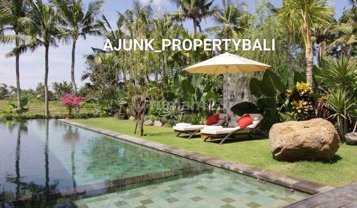 Vila Luxury Area Premium, Dekat Atlas & Finns Beach Club, Canggu 2