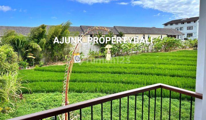 New Fully Renovated Villa with Rice Field View, Near Berawa Beach, Canggu 2