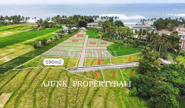 Land View Rice Fields & Sea, Only 300 meters to the Cemagi Beach area 2