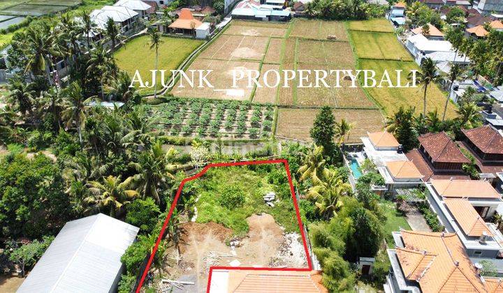 Strategic Land Viewing Rice Fields & Small River Flow, Lodtunduh Ubud 1