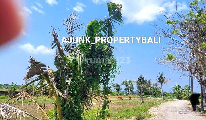 Sea View Plot Land, 150 Meters Walk to the Beach, Kedungu 2