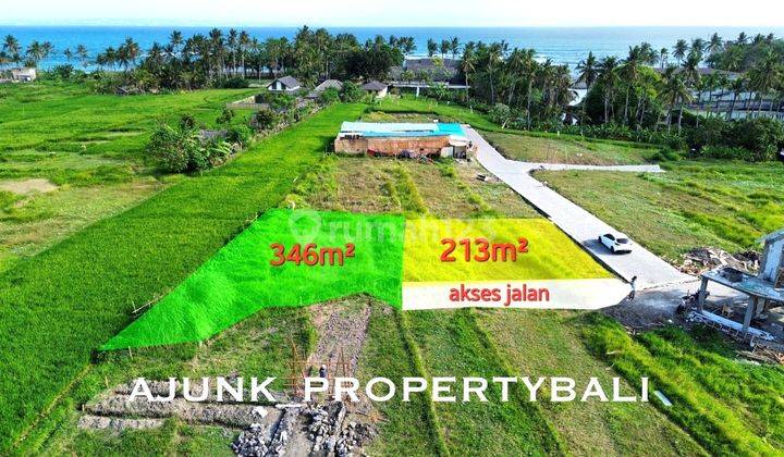 Land View Rice Fields & Sea, Only 300 meters to the Cemagi Beach area 1