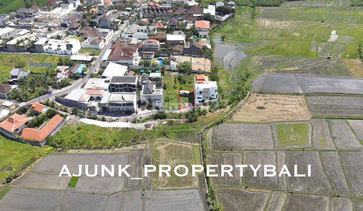 Tanah Plot Kecil dgn View Sawah, di area Canggu Veteran 2