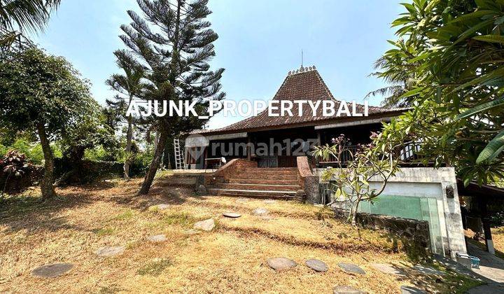 Villa Needs Total Renovation, 10 Minutes Batu Bolong Beach, Canggu 2