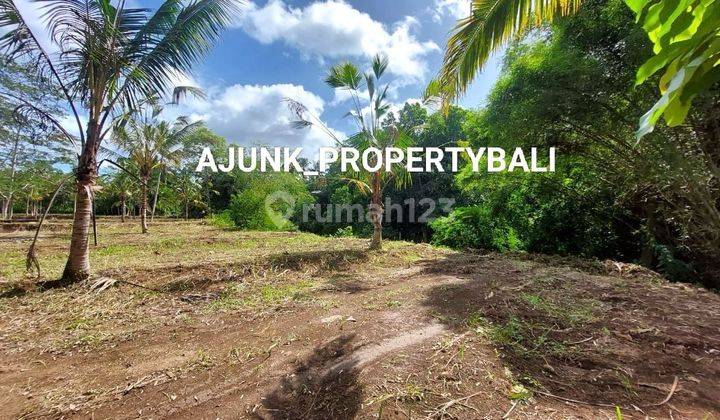 Plot of land with forest & river views, 15 minutes from Central Ubud, Payangan 1