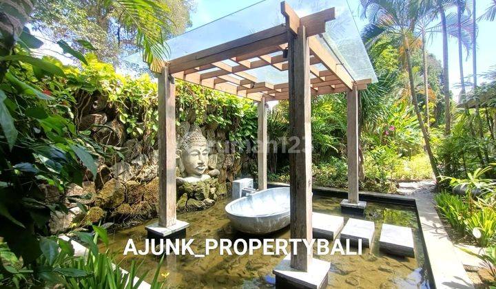 Villa with a spacious garden, close to Padang Galak Beach, Sanur 2