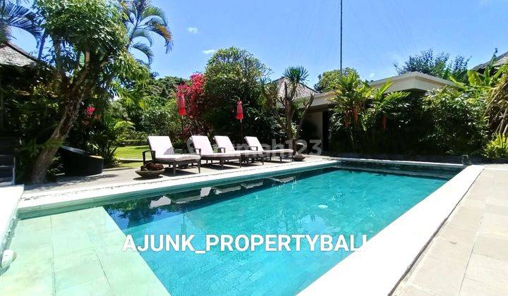 Villa with a spacious garden, close to Padang Galak Beach, Sanur 1