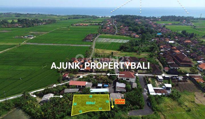 Tanah View Sawah Jalur Hijau, 1 km ke Pantai Kelating ,Tabanan 1