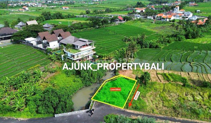 Tanah View Beach & Rice Fields, 400 mtr to Seseh Beach, Munggu 1