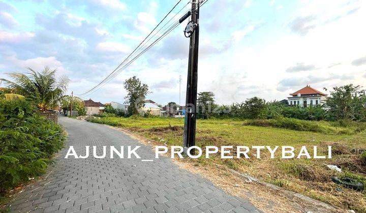 Small Area Rare Land, 50 meters from Jl Raya Munggu - Badung 2