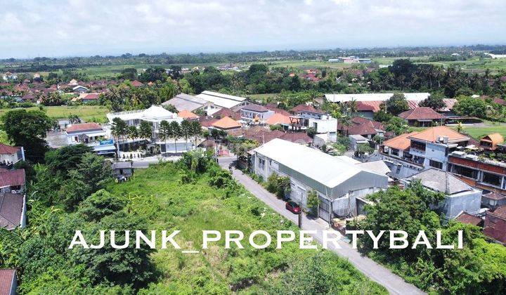 Small Area Rare Land, 50 meters from Jl Raya Munggu - Badung 1