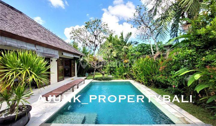 3 Bedroom Villa Bonus Land, Good Villa Condition, Kerobokan area 2