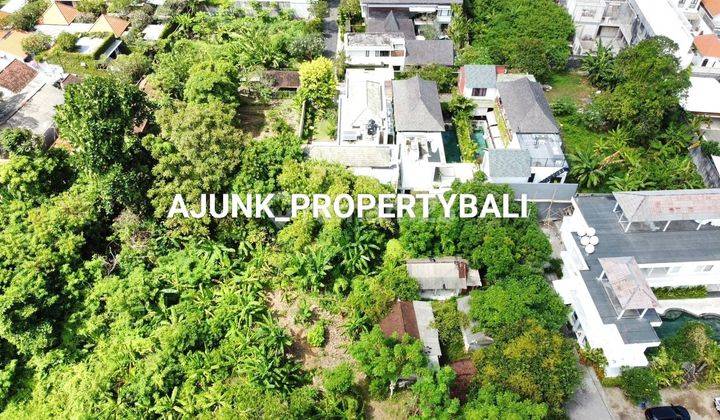 Premium Land Only 400 Meters to Mertasari Beach, Sanur 2