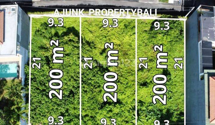 Plot of land in premium location, 1 km to Berawa Beach, Canggu 1