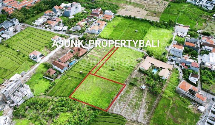 Cheap land with rice field views, villa environment, Canggu 2