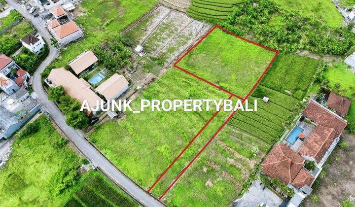 Cheap land with rice field views, villa environment, Canggu 1