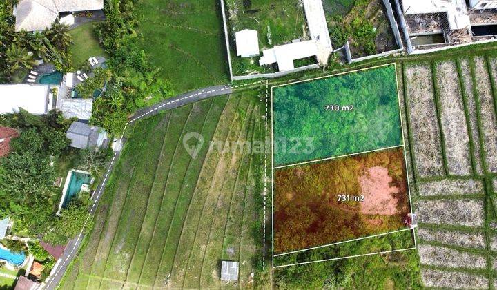 Premium land in the Umalas area, only 15 minutes to Batu Belig Beach 1