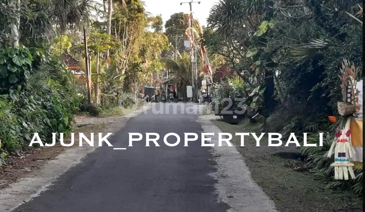 Tanah Luasan Kecil, Lingkungan Vila Vila, Di Kaba Kaba - Tabanan