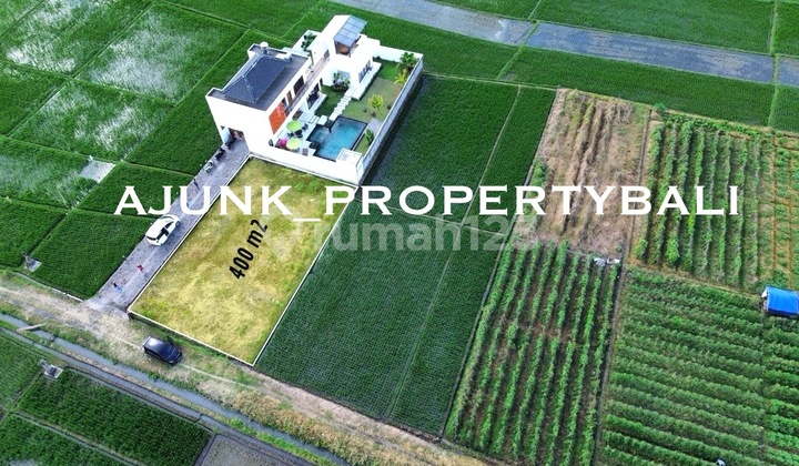 Tanah View Laut & Sawah Lokasi Area Kelating - Kerambitan Tabanan