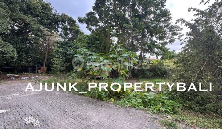 Lahan Langka Plot Kecil Di Tumbak Bayuh - Pererenan