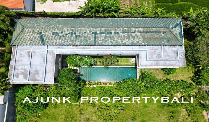 Vila Modern Tropis, View Sawah, Di Tumbak Bayuh Pererenan 1