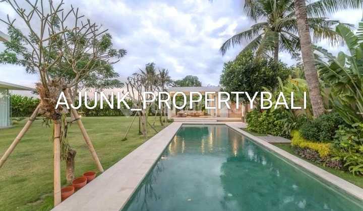 Modern Villa Style With Spacious Garden Location Babakan - Canggu Modern Villa Style With Spacious Garden Location Babakan - Canggu