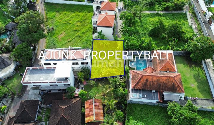 Small & Rare Premium Land, Kayu Tulang Canggu