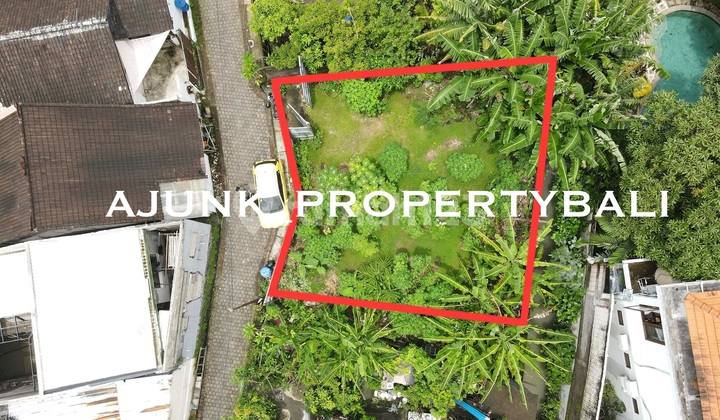 Harus Laku Bulan Ini, Tanah Langka Luasan Kecil, Berawa Canggu